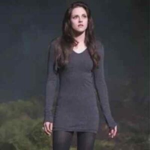 ASO Bella Swan T Alexander Wang grey Dress, Small